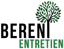 BERENI ENTRETIEN