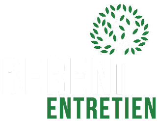 BERENI ENTRETIEN