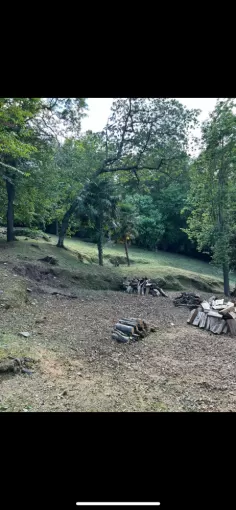 Nettoyage d'un terrain a San-Nicolao, San-Nicolao Moriani, BERENI ENTRETIEN