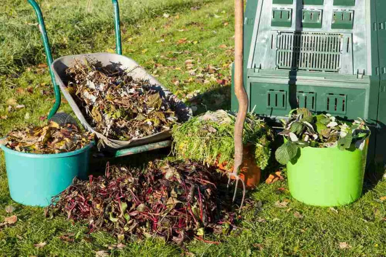 Évacuation des déchets verts après l'entretien d'un jardin mitoyen, San-Nicolao Moriani, BERENI ENTRETIEN