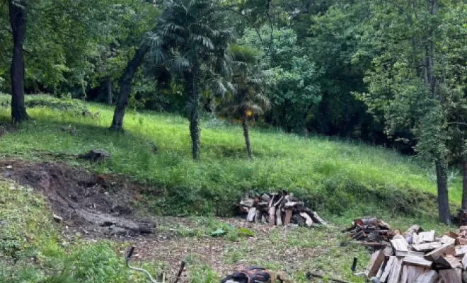 Nettoyage d'un terrain a San-Nicolao, San-Nicolao Moriani, BERENI ENTRETIEN