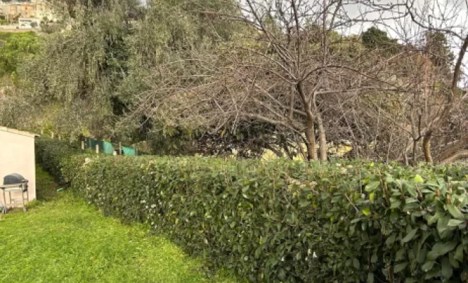 Taille de haie particulier à Cervione , San-Nicolao Moriani, BERENI ENTRETIEN