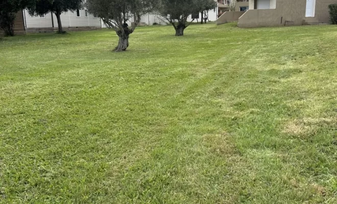 Entretien de la Résidence Marea Resort, San-Nicolao Moriani, BERENI ENTRETIEN