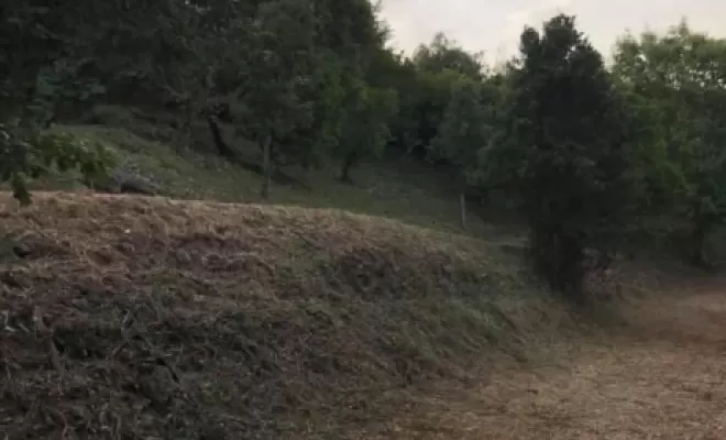 Entretien de terrain a Cervione, San-Nicolao Moriani, BERENI ENTRETIEN