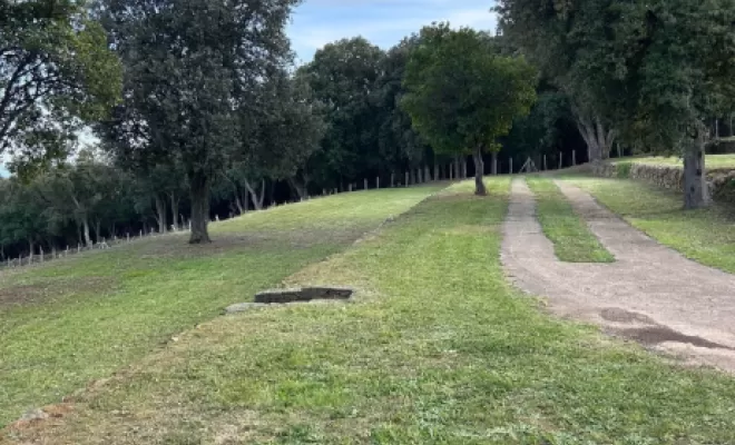 Entretien de terrain, San-Nicolao Moriani, BERENI ENTRETIEN