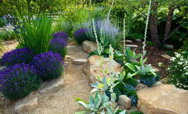 Entretien des massifs, San-Nicolao Moriani, BERENI ENTRETIEN