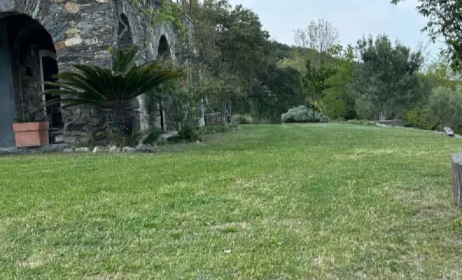 Entretien de terrain, San-Nicolao Moriani, BERENI ENTRETIEN